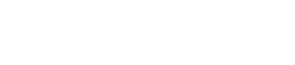 sri electricals logo